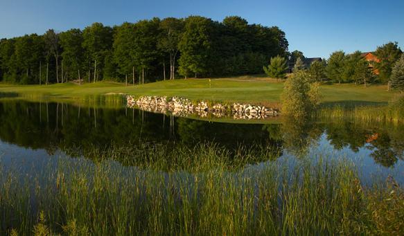 Summit Village Bellaire Bagian luar foto
